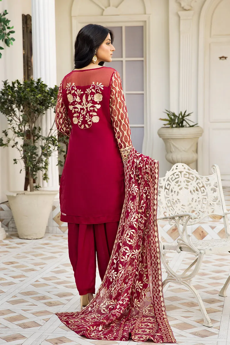 Elegant Red Salwar Kameez with Embroidery Work #PF489