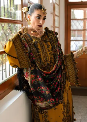 Hussain Rehar | Karandi AW '24 | Saage