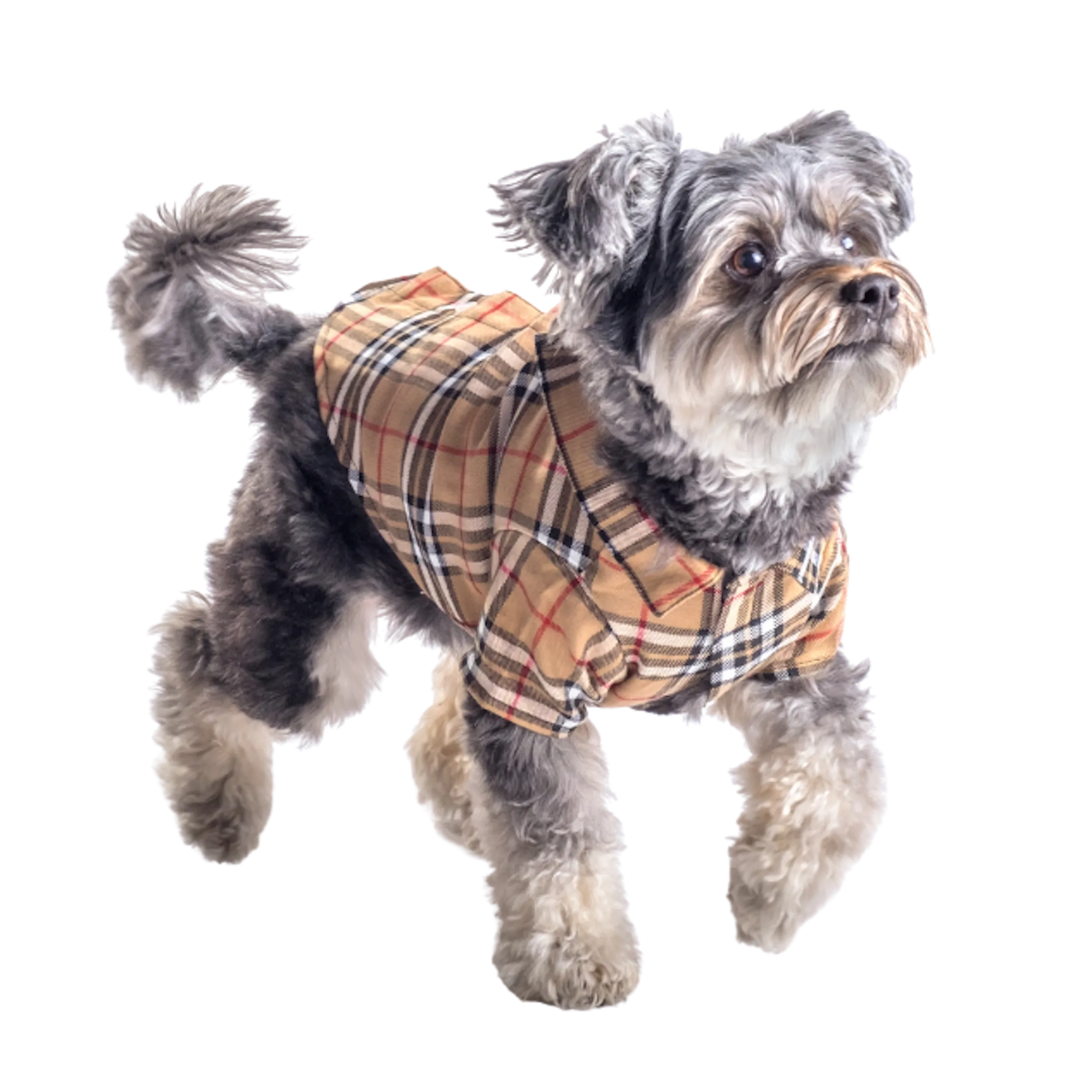 Shirt | Bias Plaid Tan