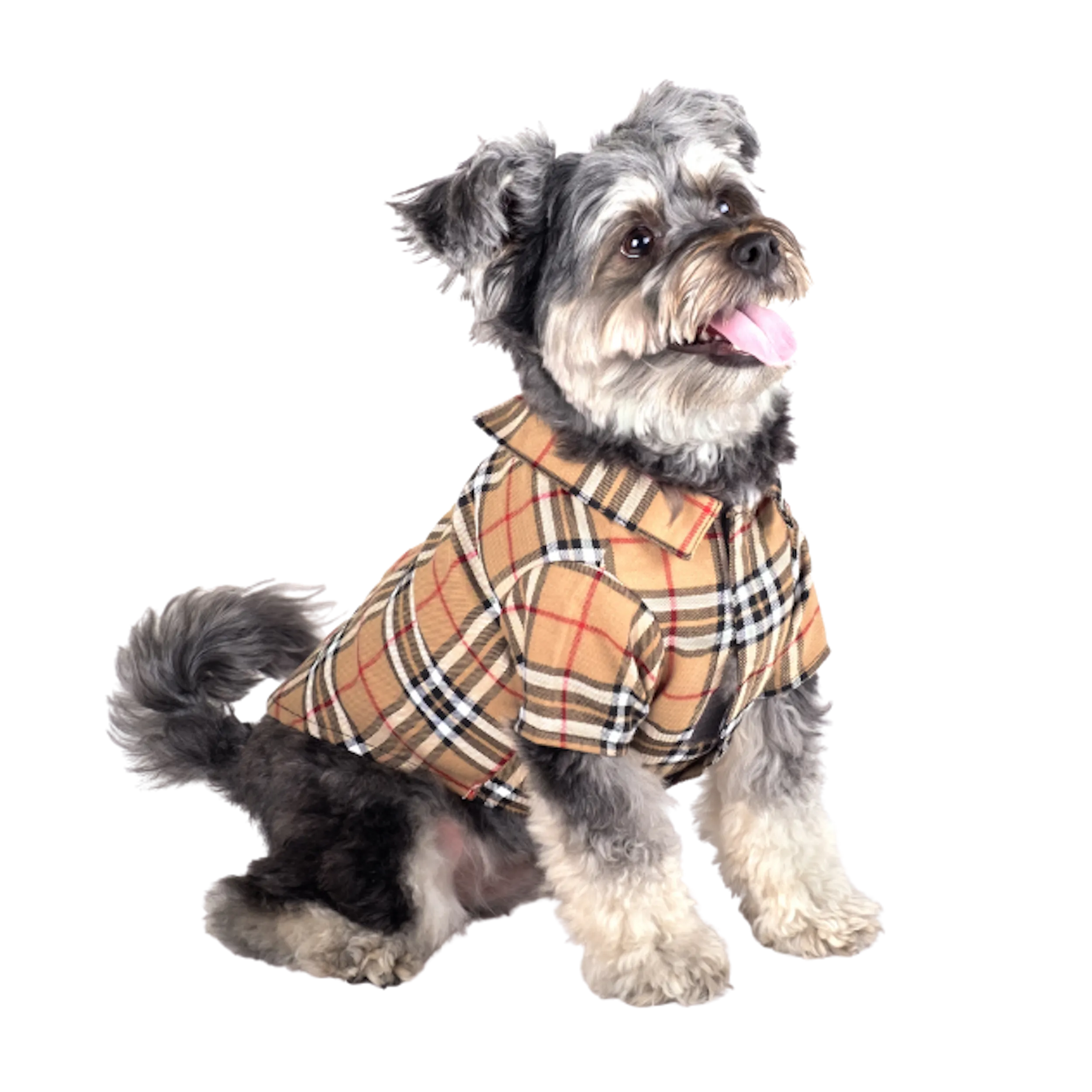 Shirt | Bias Plaid Tan
