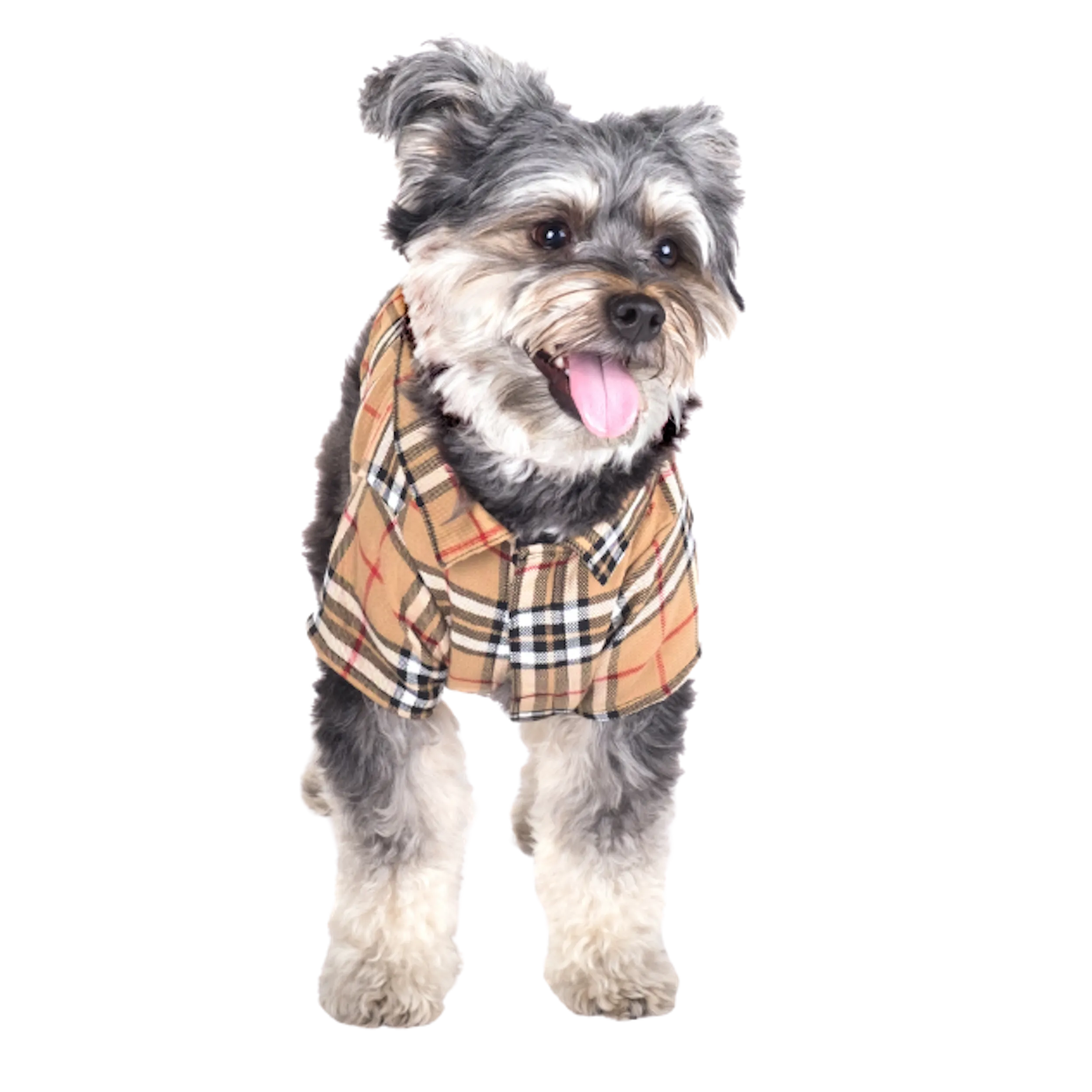 Shirt | Bias Plaid Tan