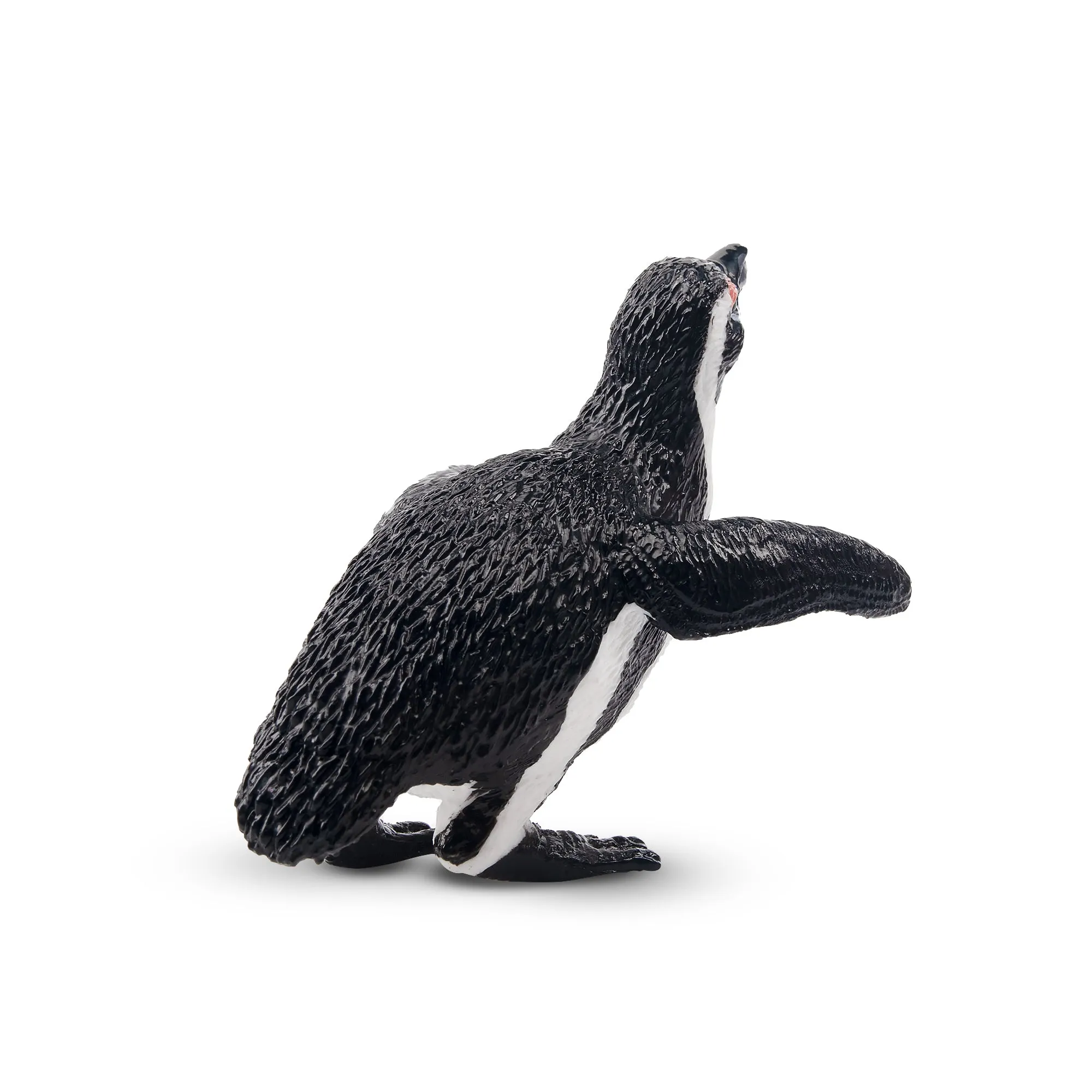 Toymany Jackass Penguin Figurine Toy