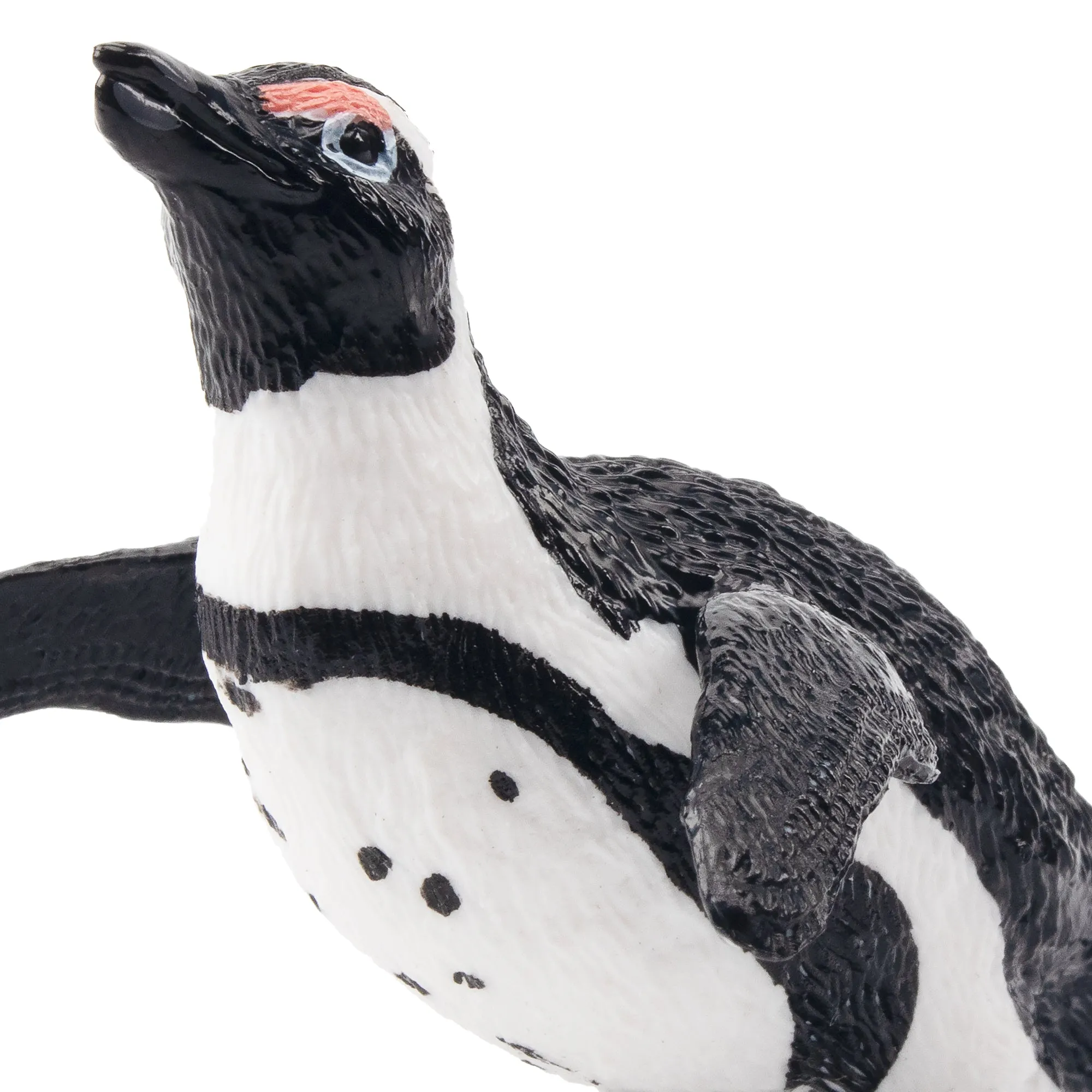 Toymany Jackass Penguin Figurine Toy