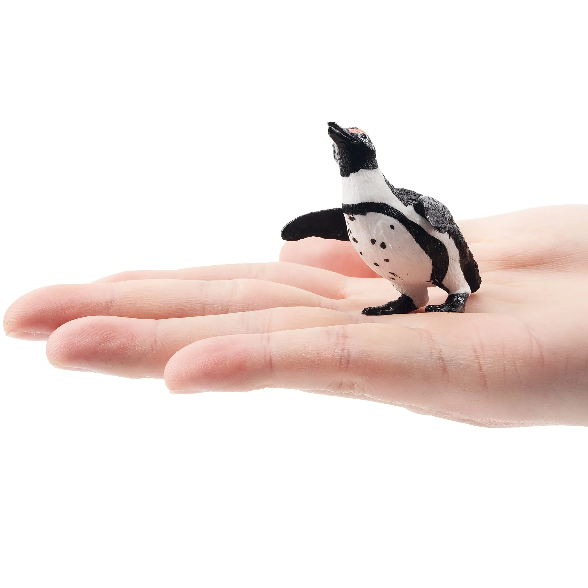 Toymany Jackass Penguin Figurine Toy